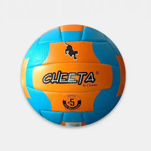 BALON VOLEIBOL