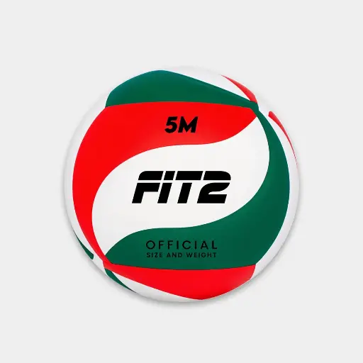 BALON VOLEIBOL